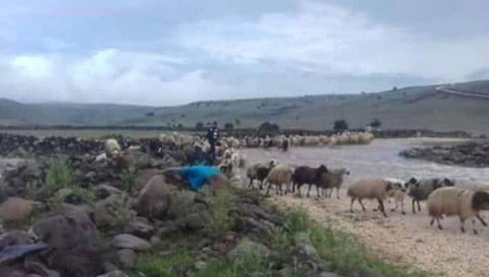 Diyarbakırda sağanak; dere taştı, derme çatma köprü yıkıldı