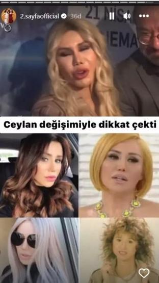 Ceylanın son halini görenler şoke oldu