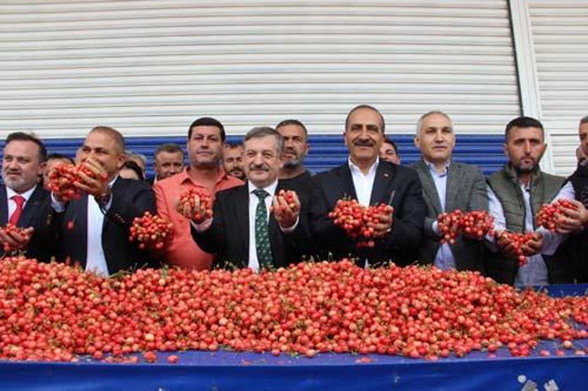Sezonun ilk kirazı 800 TL’den satıldı