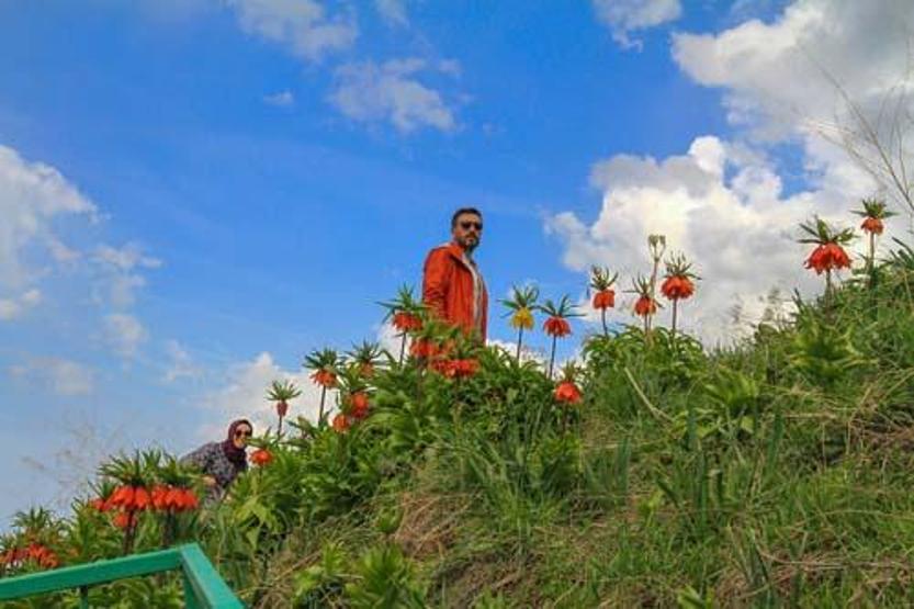 Vanda ters laleler çiçek açtı