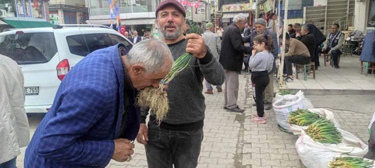 Her yerde yetişmiyor Birçok hastalığa iyi geldiği belirtilen bu bitki kilosu bin lira ama yok satıyor