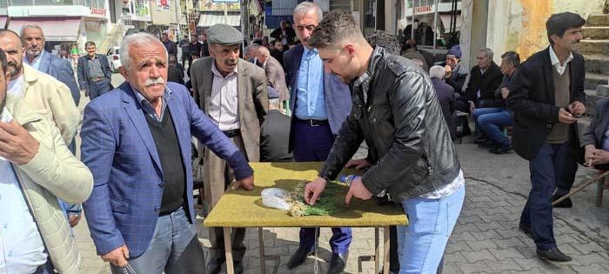Her yerde yetişmiyor Birçok hastalığa iyi geldiği belirtilen bu bitki kilosu bin lira ama yok satıyor
