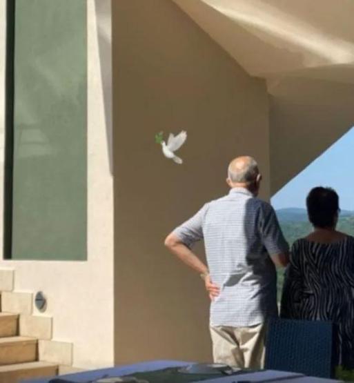 Hande Erçelin acı günü