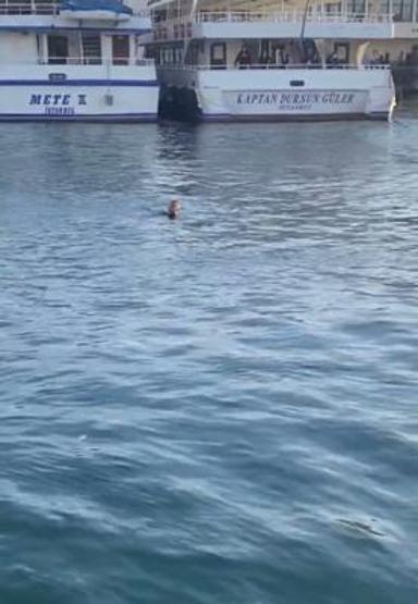 Kadıköy’de istediği türküyü çalmayan genci bıçaklayarak öldürdü