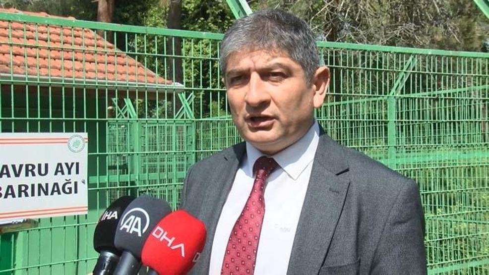 Giresunda bulunan 3 yavru ayının yeni yuvaları Bursa