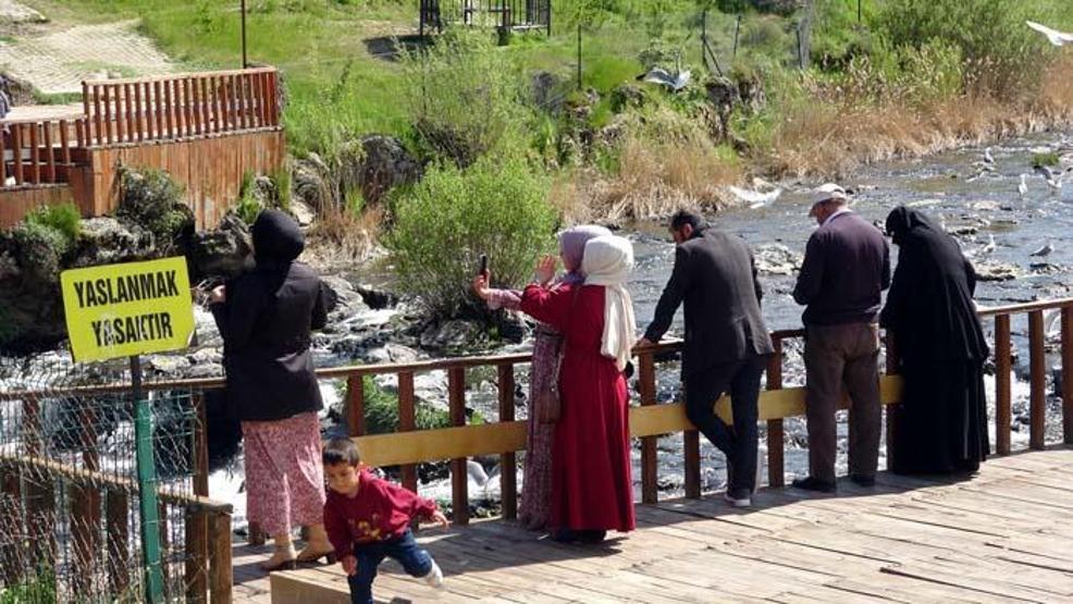 İnci kefalinin zorlu göçü başladı
