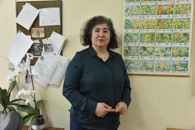 Ülkemizde en çok bulunan zehirli mantar Ölümlerin yüzde 95’i bu türden kaynaklanıyor En çok İstanbul, Bolu, Kastamonu ve Giresun bölgelerinde görülüyor