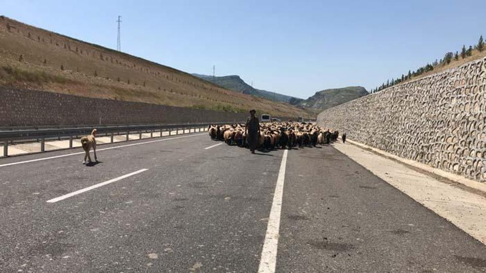 Göçerlerin zorlu yayla yolculuğu başladı