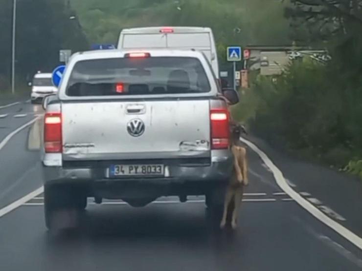 Sarıyerde pikapta asılı şekilde taşınan köpek görüntüsü tepkilere neden oldu