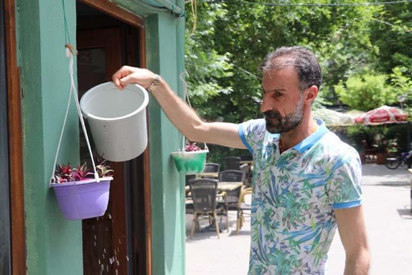Kesmeye kıyamadığı 45 yıllık ağacı dükkanının içinde bıraktı