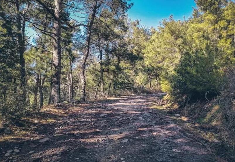 Şimdi harekete geçme zamanı Sağlıklı adımlar için en iyi rotalar