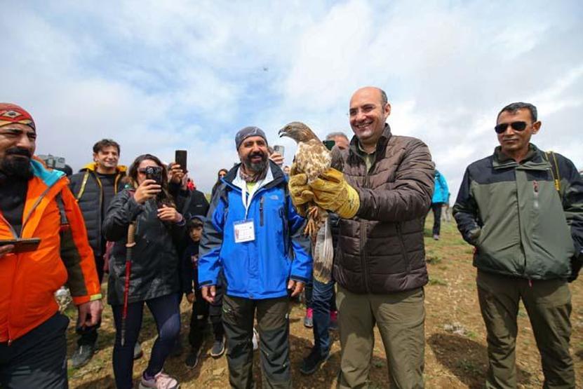 Tedavileri tamamlanan kaya kartalı ve arı şahini doğaya salındı