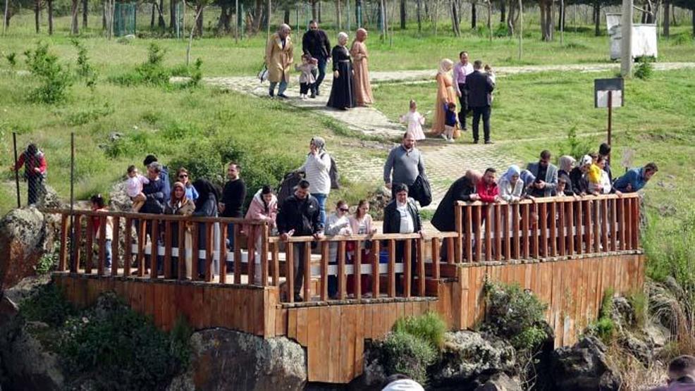 İnci kefali göçünü izlemek için Vana geldiler
