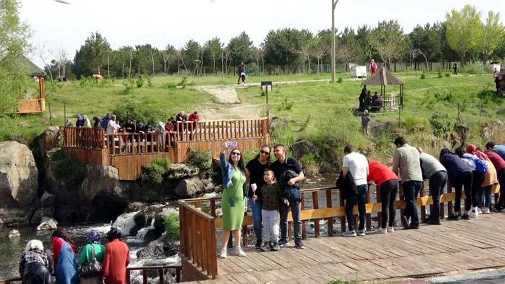 İnci kefali göçünü izlemek için Vana geldiler