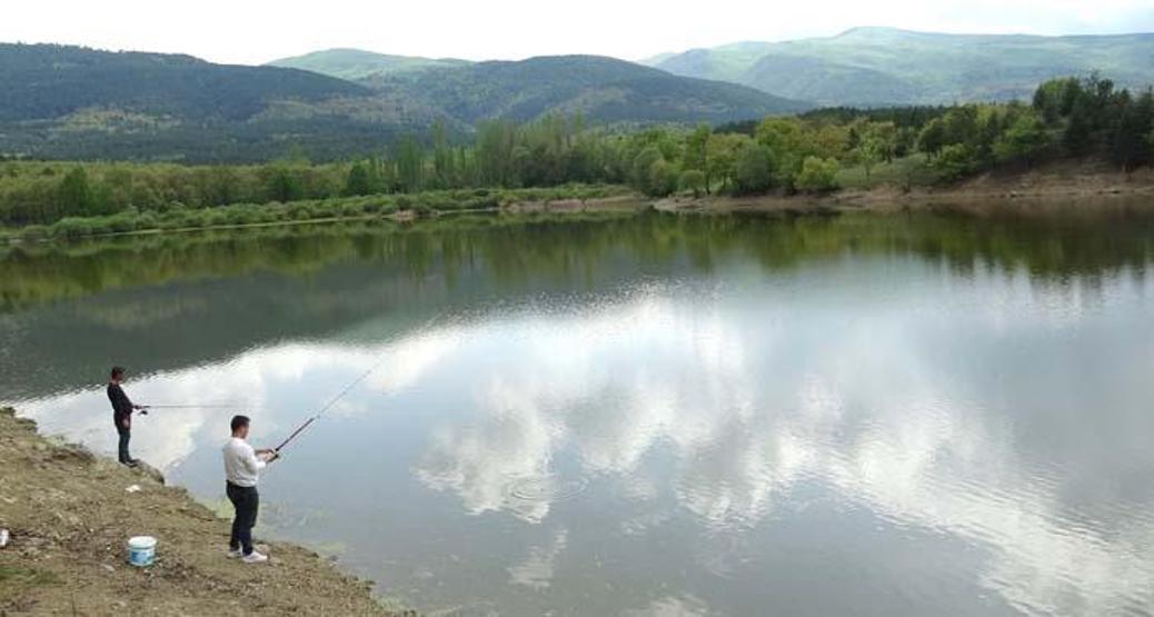 Yeşille mavinin buluşması