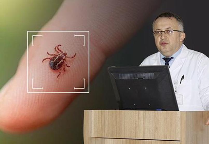 Havalar ısındı kene kabusu başladı Uzman isim Nisan ve Ekim ayları arasına dikkat çekti, önemli uyarılarda bulundu