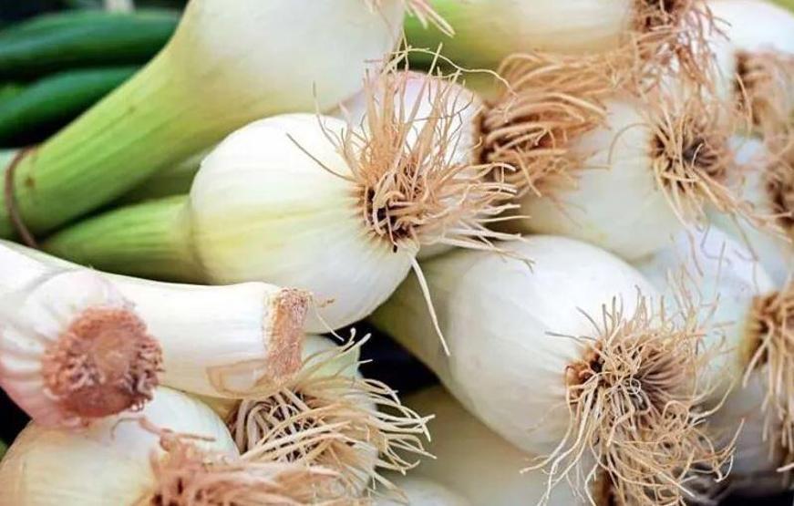 Vücutta biriken toksinleri söküp atıyor Sofranızdan eksik etmeyin