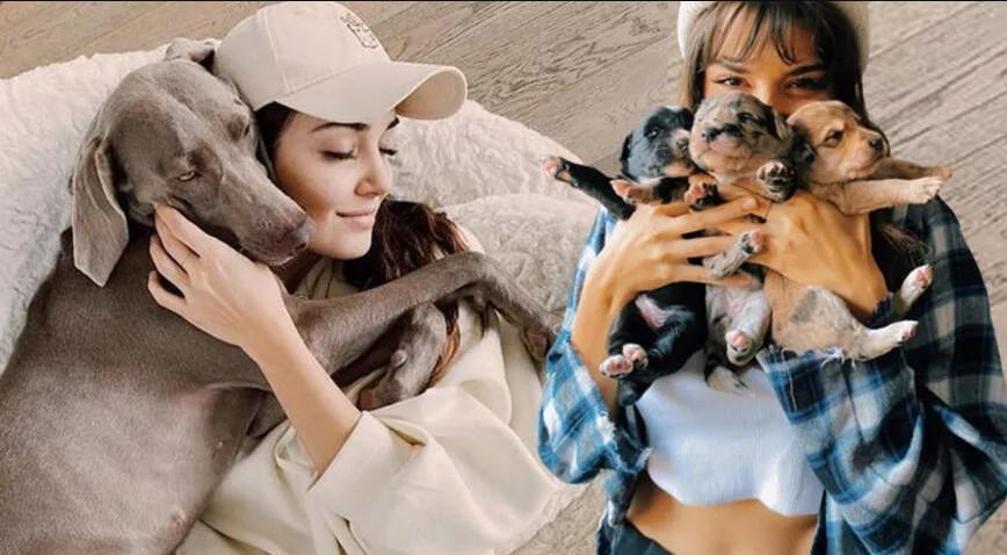Hande Erçel: Ellerimle yaptığım tatlı yüzünden köpeğim şeker komasına girdi