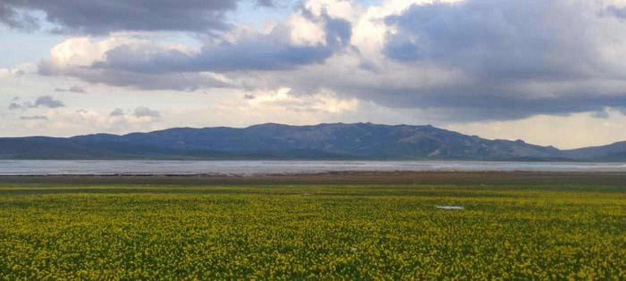 Keşiş Gölü doğanın bin bir rengiyle hayran bırakıyor