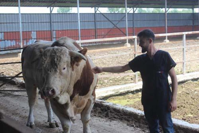 Onu gören şaşırıyor: İkinci el otomobil fiyatına alıcısını bekliyor