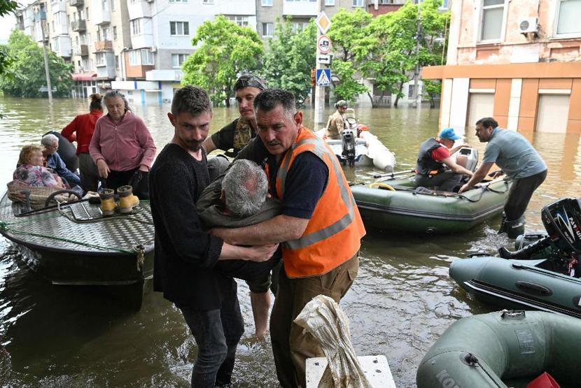 Hersondaki felaket hayvanları da etkiledi: Kurtarmak için zamana karşı yarış