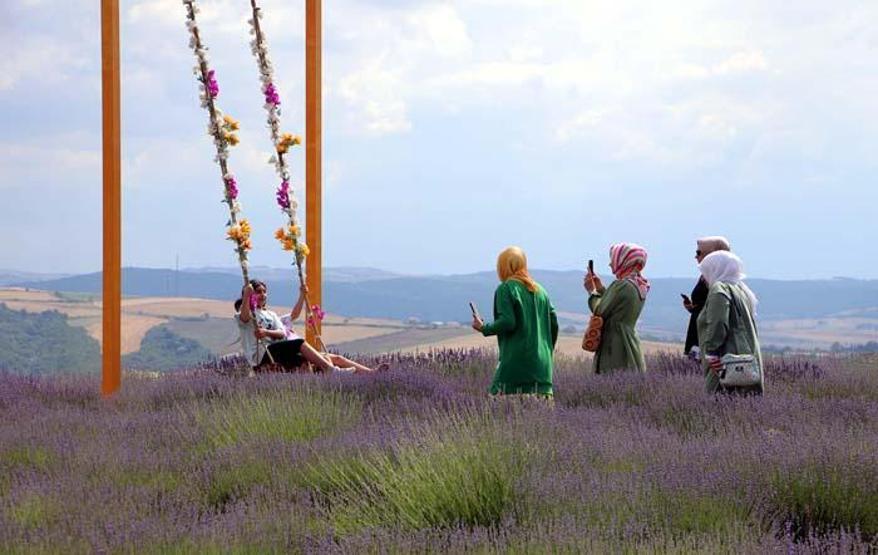 Mor salkımlı poz... Lavanta bahçeleri ziyarete açıldı