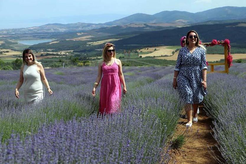 Mor salkımlı poz... Lavanta bahçeleri ziyarete açıldı