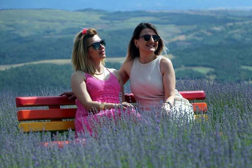 Mor salkımlı poz... Lavanta bahçeleri ziyarete açıldı