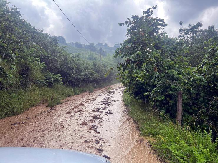 Düzcede 21 köyde dereler taştı