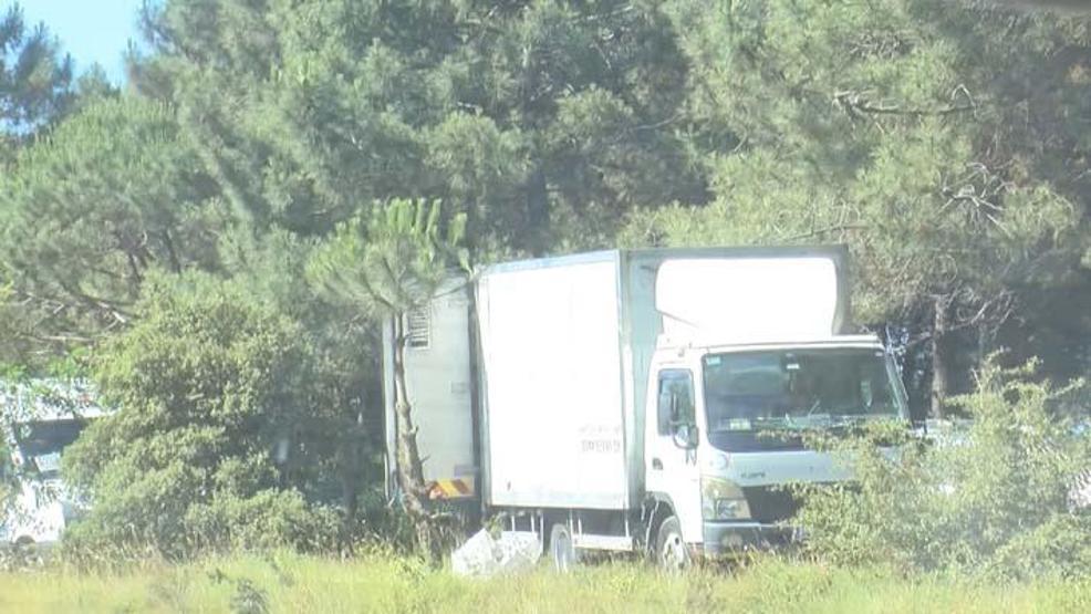 Uyarılara aldırmadılar Ormanda kaçak kesim...