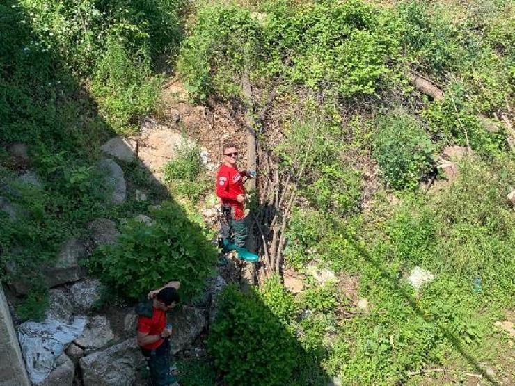 Kayıp ekonomist Korhan Berzeg kaçırıldı mı Ailesinden tedirgin eden şüphe