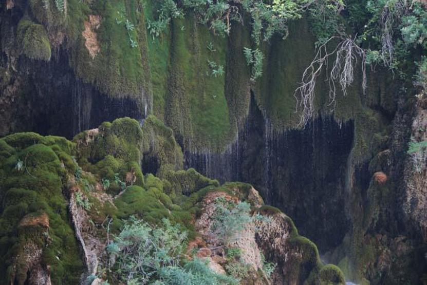 Doğanın el değmemiş mirası Ziyarete gelen hayran kalıyor