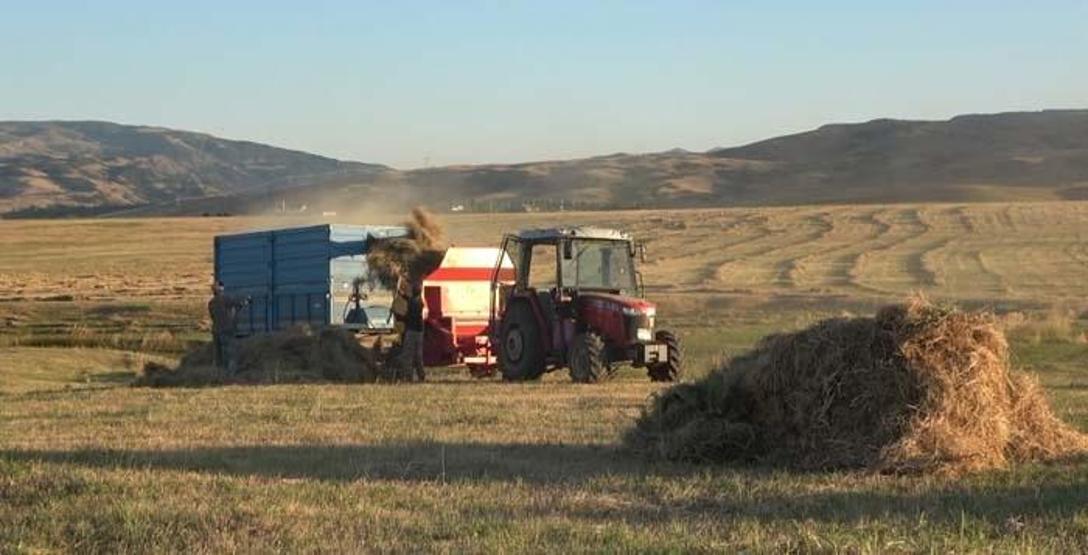Muş Ovası’nda çiftçilerin kış mesaisi başladı