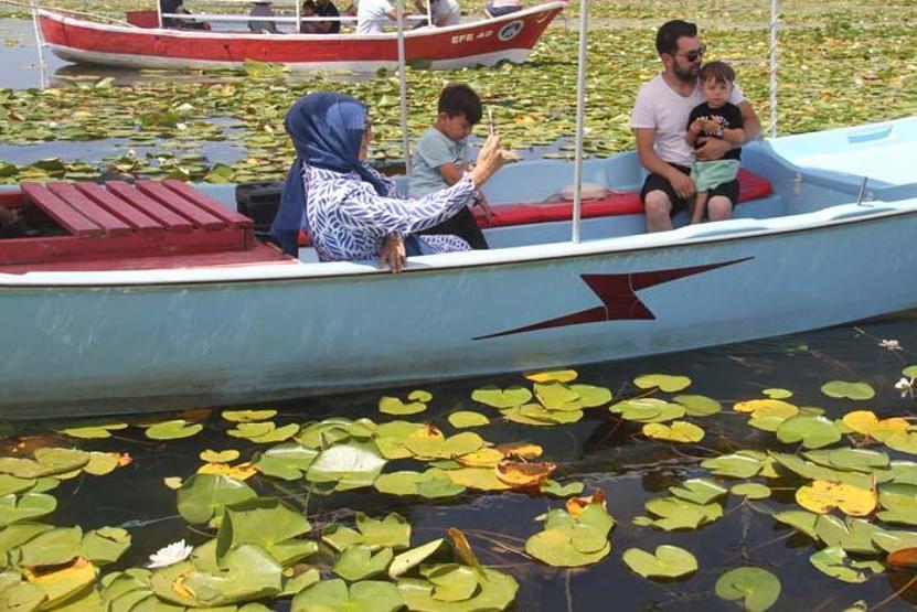 Konyada milli parktaki nilüfer çiçeği bahçesi ziyaretçilerini hayran bırakıyor