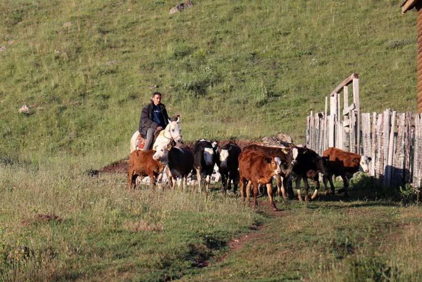Türkiye sıcaktan kavruluyor onlar soba yakıyor