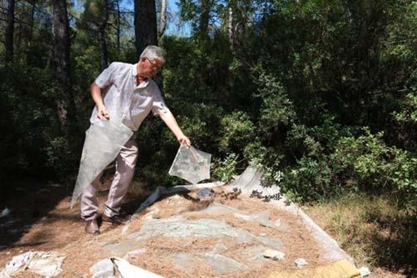 Utandıran görüntü Böyle isyan etti: Orman sizin çöplüğünüz mü