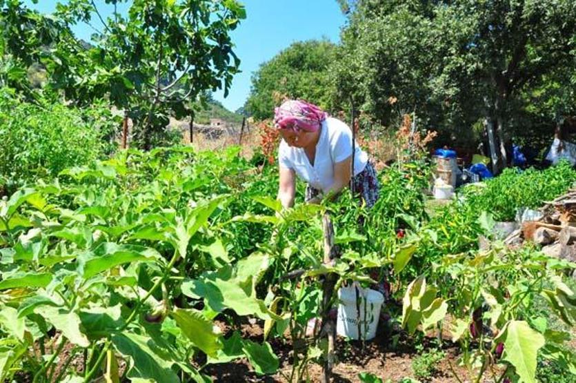 Babasından habersiz okuduğu okulsuz köyden, Sorbonnea