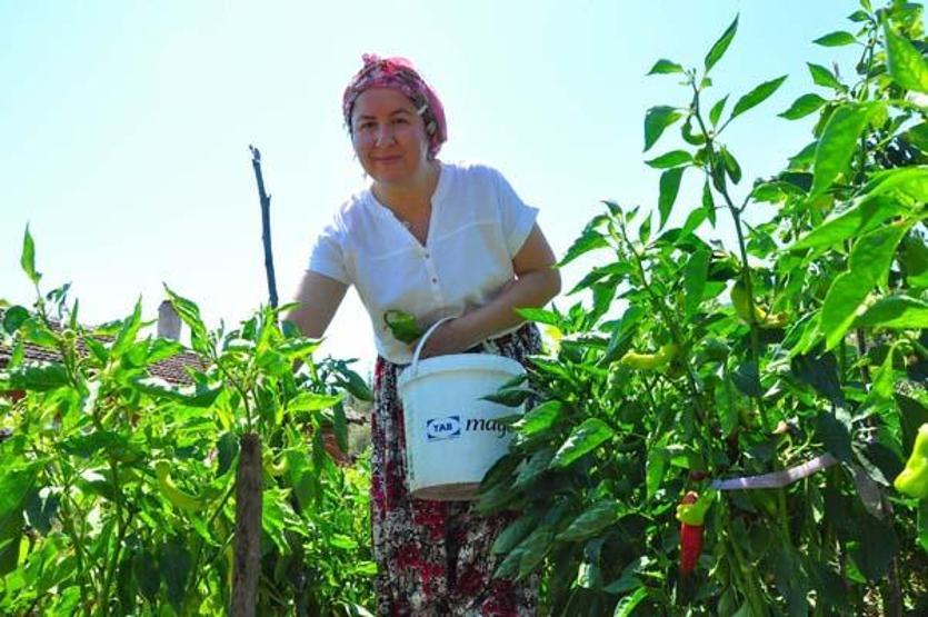 Babasından habersiz okuduğu okulsuz köyden, Sorbonnea