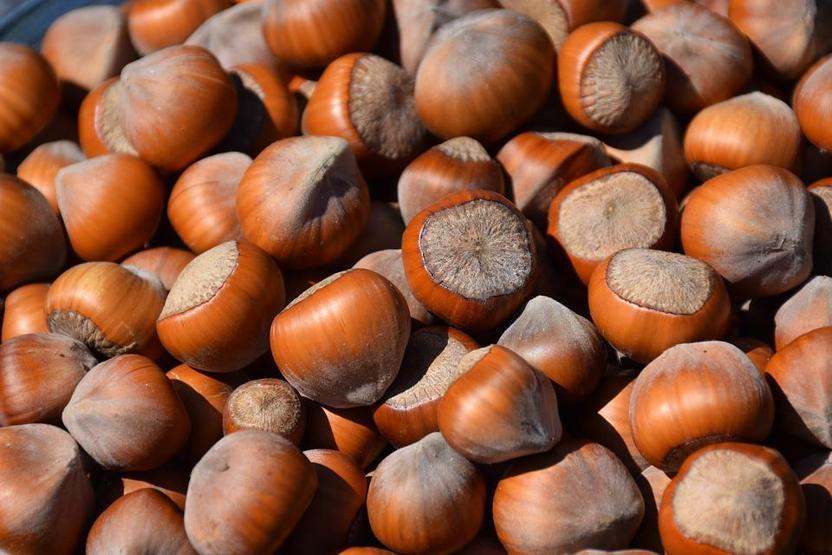 Sindirimi düzenliyor, kilo kontrolüne katkı sağlıyor B ve E vitamini deposu fındığın faydaları saymakla bitmiyor