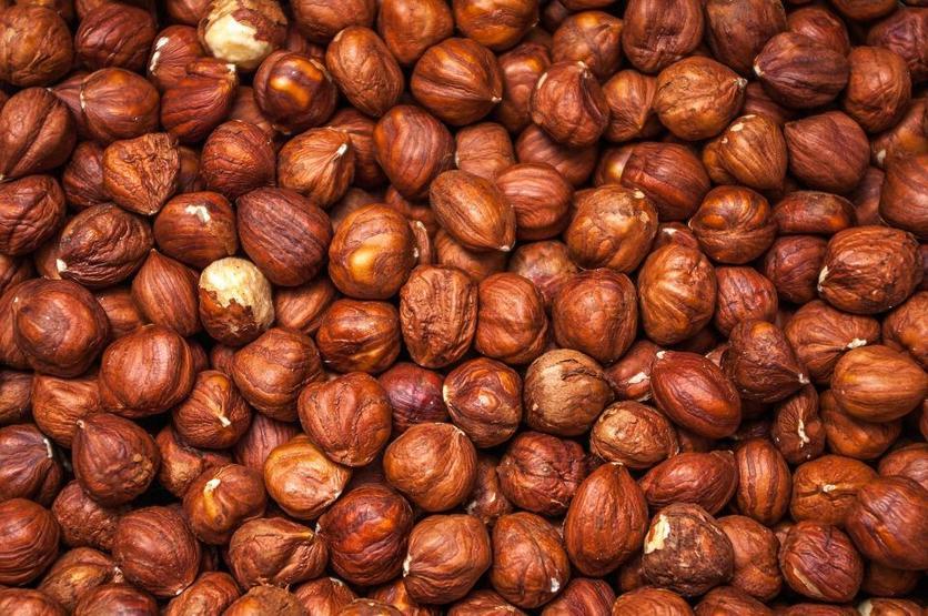 Sindirimi düzenliyor, kilo kontrolüne katkı sağlıyor B ve E vitamini deposu fındığın faydaları saymakla bitmiyor