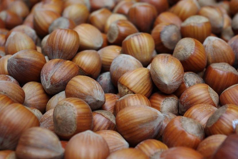 Sindirimi düzenliyor, kilo kontrolüne katkı sağlıyor B ve E vitamini deposu fındığın faydaları saymakla bitmiyor