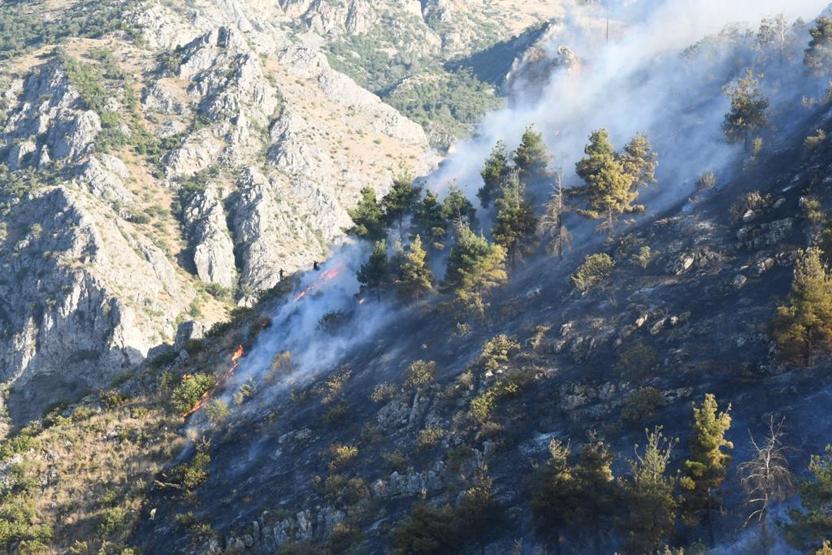 Amasyada Harşena Kalesi yakınında orman yangını