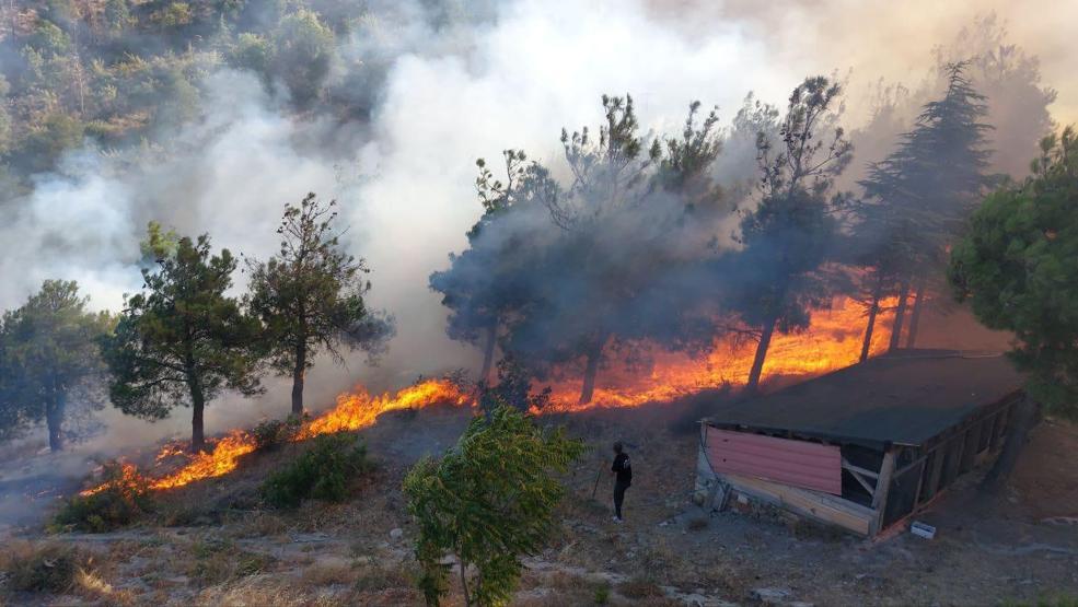 Amasyada Harşena Kalesi yakınında orman yangını