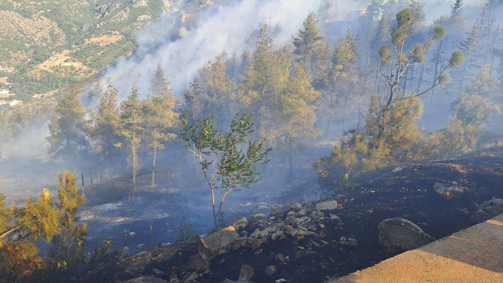 Amasyada Harşena Kalesi yakınında orman yangını