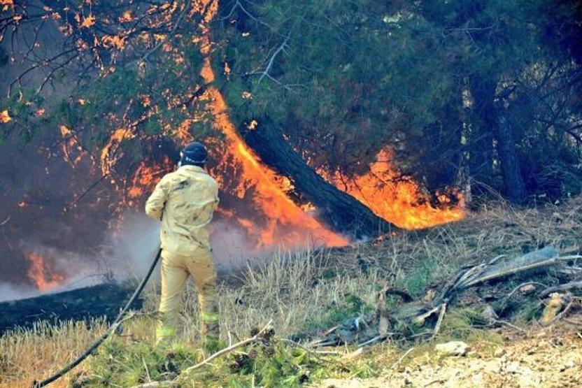 Çanakkalede orman yangını: Savaş tablosu gibiydi