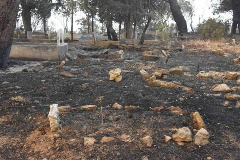 Çanakkalede orman yangını: Savaş tablosu gibiydi