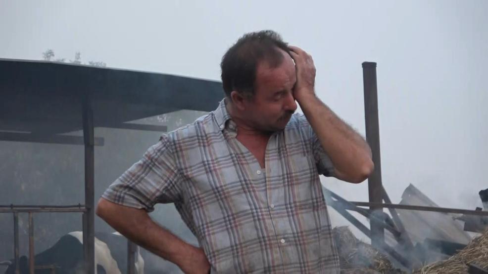 Çanakkalede orman yangını: Savaş tablosu gibiydi
