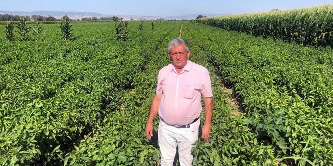 Çiftçilerden zarar ediyoruz isyanı: Tarlada 5, pazarda 35 lira