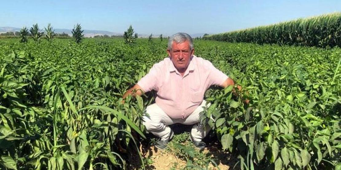 Çiftçilerden zarar ediyoruz isyanı: Tarlada 5, pazarda 35 lira