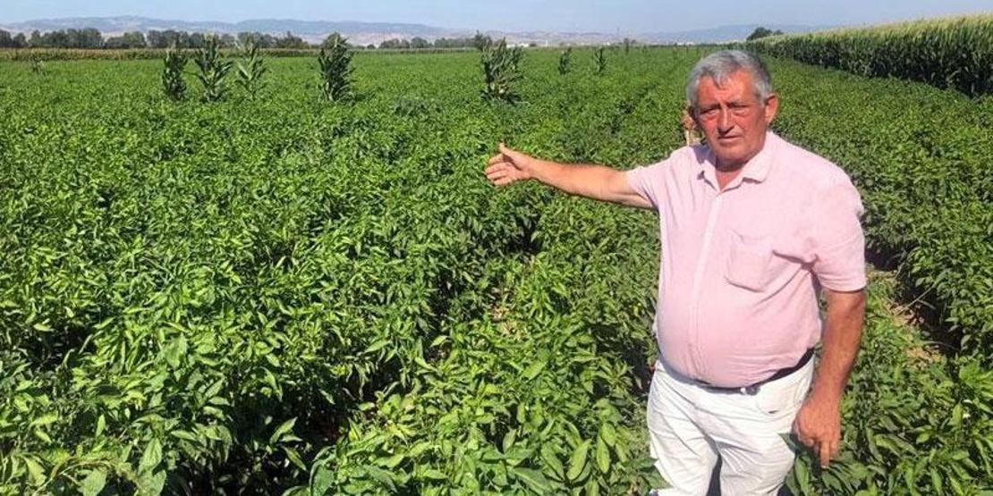 Çiftçilerden zarar ediyoruz isyanı: Tarlada 5, pazarda 35 lira